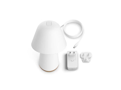 Hue Twilight sleep and wake-up light white