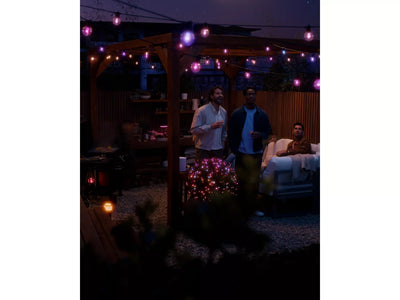 Philips Hue Festavia Globe Outdoor String Lights 7m 10bulb