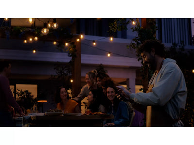 Philips Hue Festavia Globe Outdoor String Lights 14m 20bulb