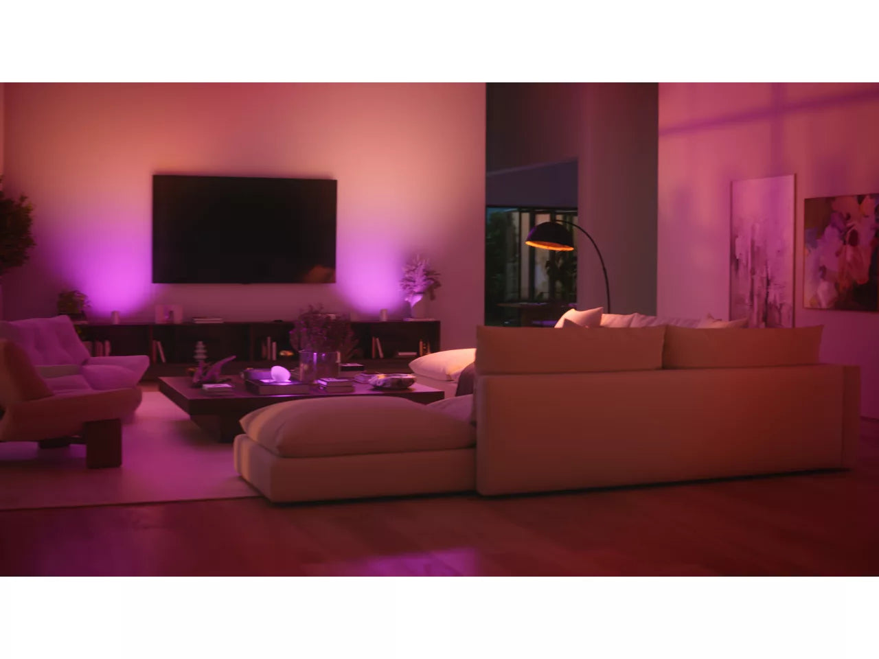 Philips Hue Bridge Pro