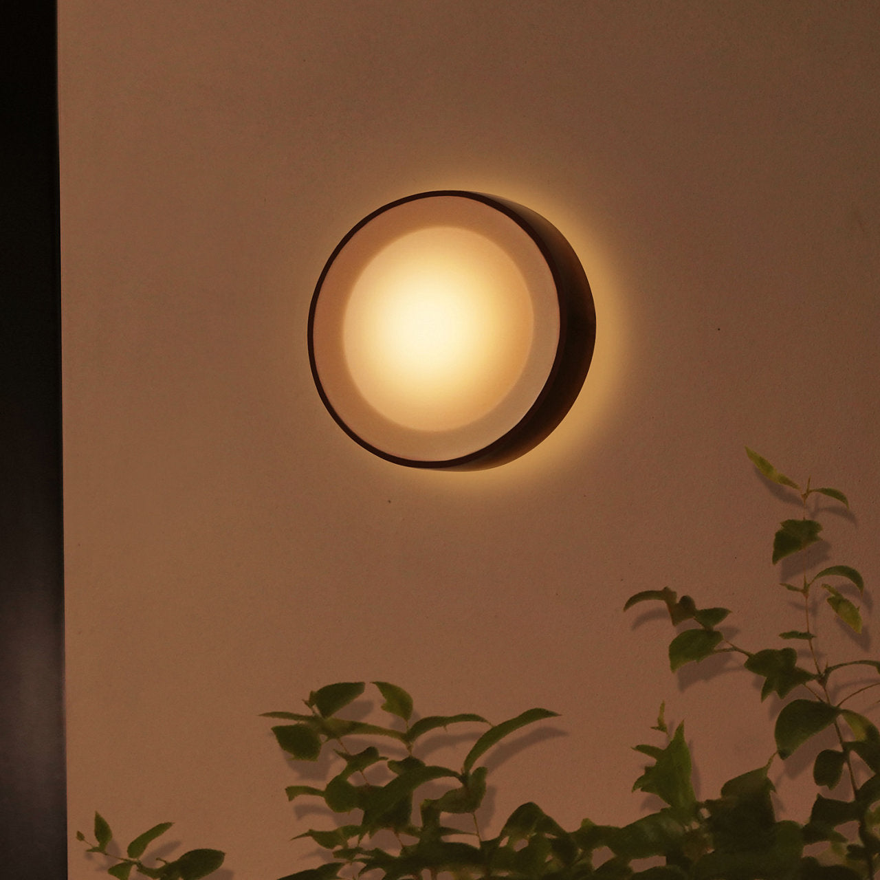 Hue Daylo Outdoor Wall Light *Black* W&Color Ambiance 15W