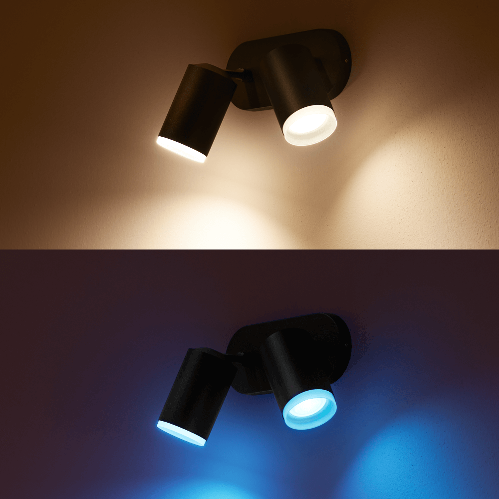 Hue Fugato 2 Lamp W&Color Ambiance-Black
