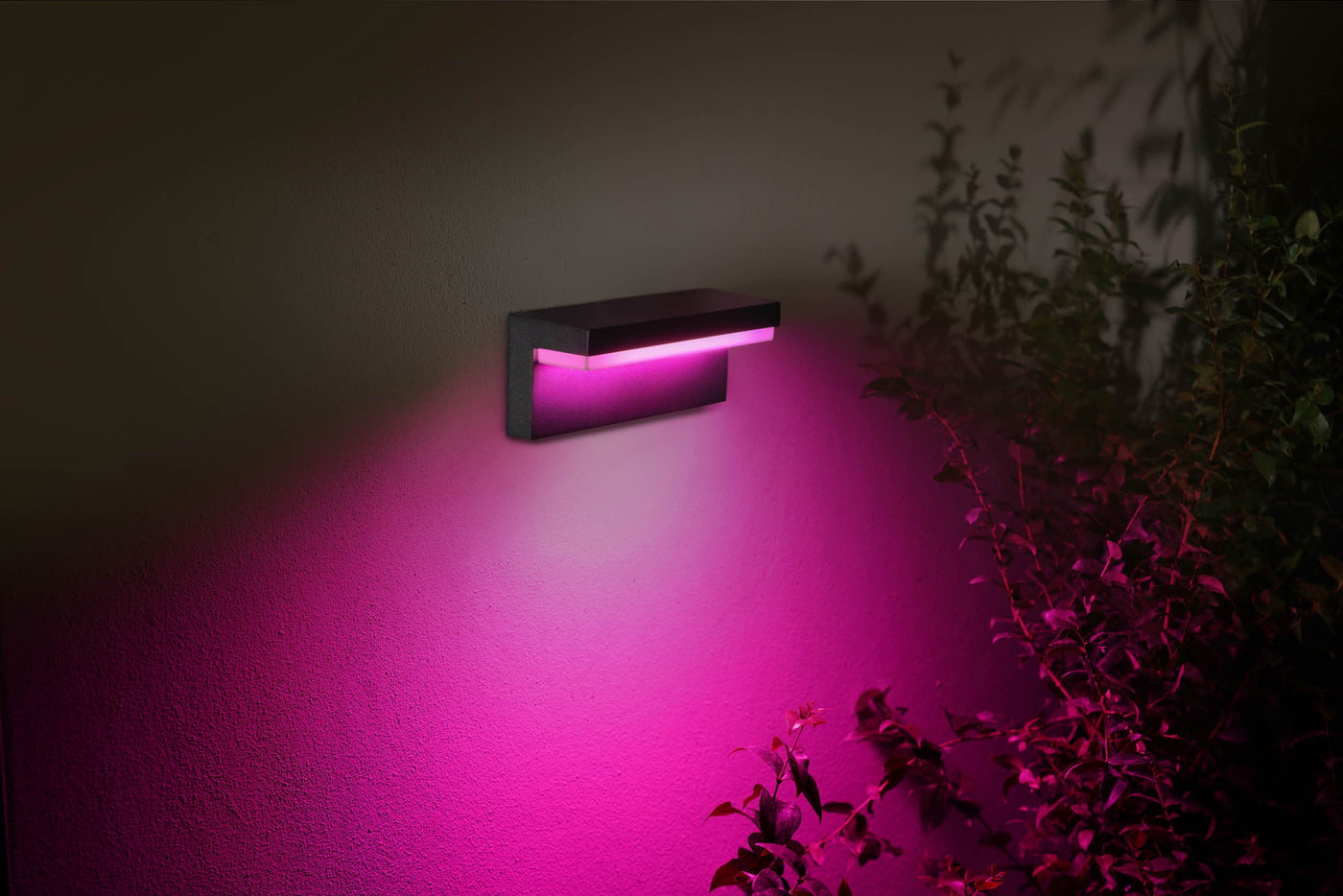 Hue Nyro Outdoor Wall Light 13.5W W&Color Ambiance