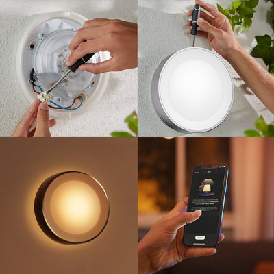 Hue Daylo Outdoor Wall Light *Silver* W&Color Ambiance 15W