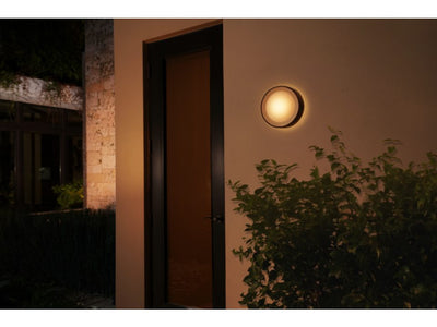 Hue Daylo Outdoor Wall Light *Black* W&Color Ambiance 15W