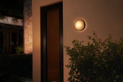 Hue Daylo Outdoor Wall Light *Silver* W&Color Ambiance 15W
