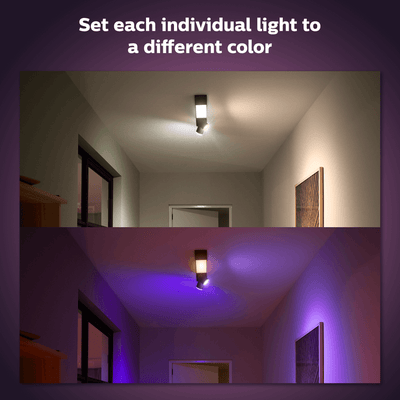 Hue Centris 2 Ceiling Lamp W&Color Ambiance-Black