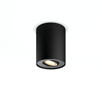 Hue Pillar Ceiling Spotlight W.Ambiance-Black