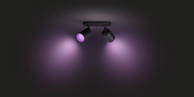 Hue Fugato 2 Lamp W&Color Ambiance-Black